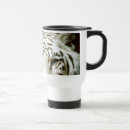 Buscar tigre blanco tazas Fotografía