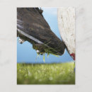 Buscar partes del cuerpo humano postales Cierre