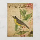 Buscar vintage bird postales Francés