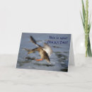 Buscar pato silvestre tarjetas Fauna
