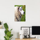 Buscar cuidado animal posters Animales