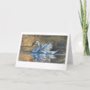 Buscar pintura del pájaro tarjetas Blanco