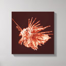 Buscar lionfish arte Acuático