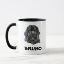 Buscar raza del perro terranova General y unisex