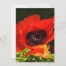 Buscar amapola tarjetas Palomitas