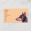Buscar pinscher Doberman pinscher