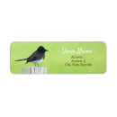 Buscar pájaro cantante postales Verde