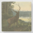 Buscar caza posavasos Naturaleza