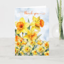 Buscar bokeh tarjetas General y unisex