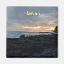 Buscar viaje de hawaii imanes Para ellos