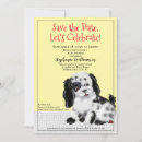 Buscar perro blanco y negro invitaciones Invitados