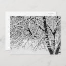 Buscar winter postales General y unisex