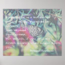 Buscar citas sobre felicidad posters Inspiradoras