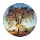 Buscar roble tablas cortar Paisaje