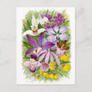 Buscar floral antigua postales Antiguo