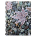 Buscar escarcha cuadernos Hielo
