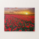 Buscar países bajos puzzles Tulipán