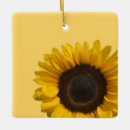 Buscar girasoles amarillos adornos Otoño