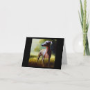Buscar greyhound tarjetas Canina
