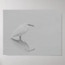 Buscar egret posters Avituallamiento