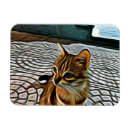 Buscar cats imanes Cute