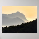 Buscar arbolado posters Niebla