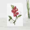 Buscar olor tarjetas Flores