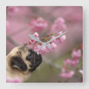 Buscar pug relojes de pared Cachorro