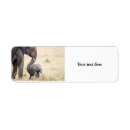 Buscar madre remite etiquetas Elefante