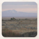 Buscar venado de cola blanca posavasos Naturaleza