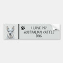 Buscar queensland pegatinas parachoque Heeler azul