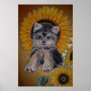 Buscar girasol bonito posters Moderno