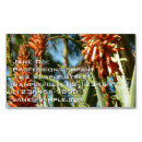 Buscar colibríes tarjetas de visita General y unisex