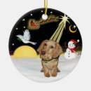 Buscar cable adornos Perro