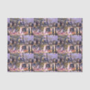 Buscar israel papel de seda Elegante