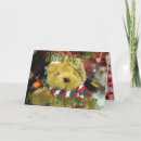 Buscar teddybear tarjetas Peluche