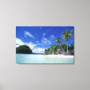 Buscar islas lienzos Tropical