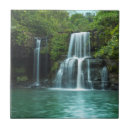 Buscar isla azulejos Bosque
