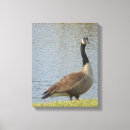Buscar charca arte Naturaleza