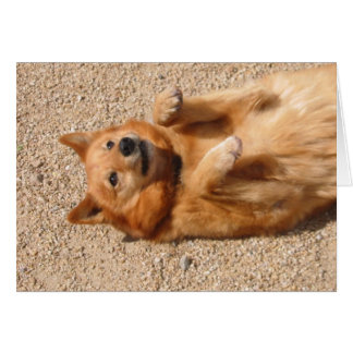 0006Ropa de barriga de cobre