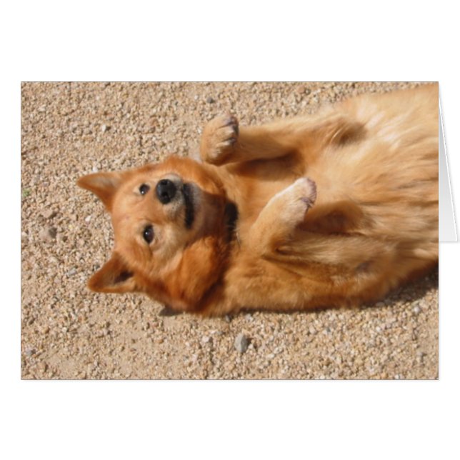 0006Ropa de barriga de cobre (Anverso (Horizontal))