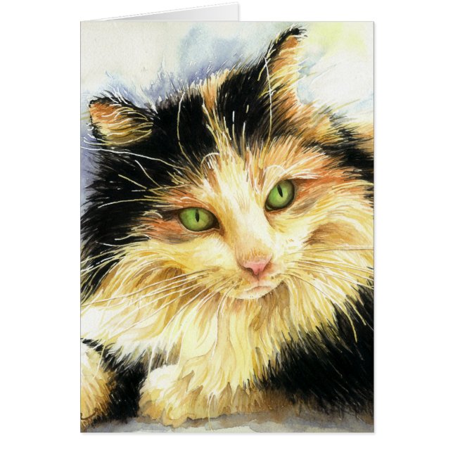 0010 Gato de Calico (Frente)