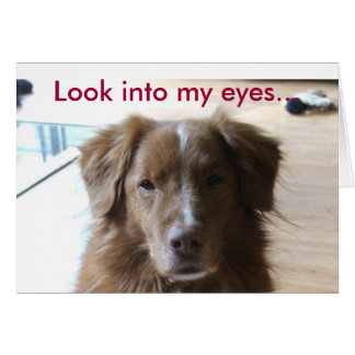 0029, mira a mis ojos...