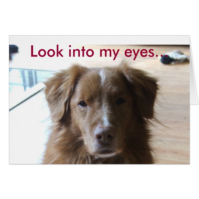 0029, mira a mis ojos... (Anverso (Horizontal))