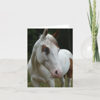 015 Tarjeta de ilusión