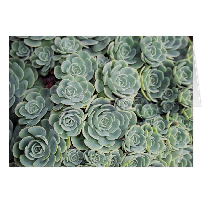 01760023 (Anverso (Horizontal))