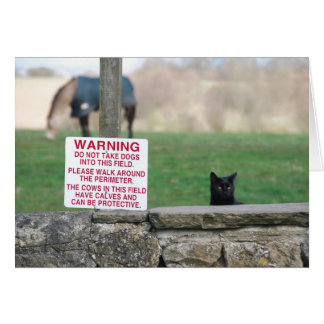 020409Granja de perros260