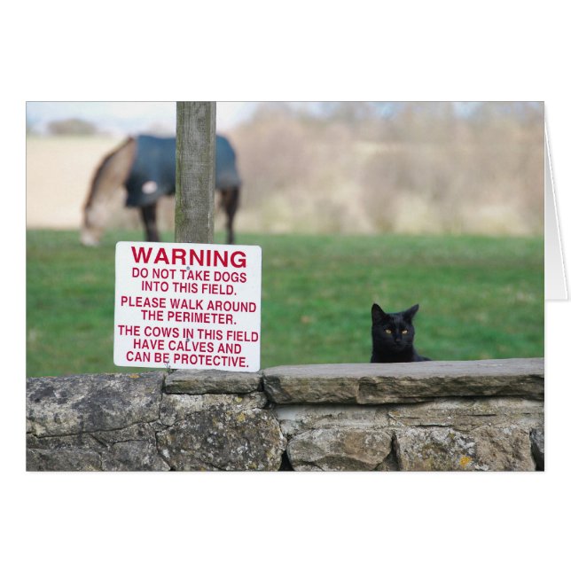 020409Granja de perros260 (Anverso (Horizontal))