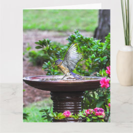 030 mate grande de la tarjeta 8.5x11 del baño del