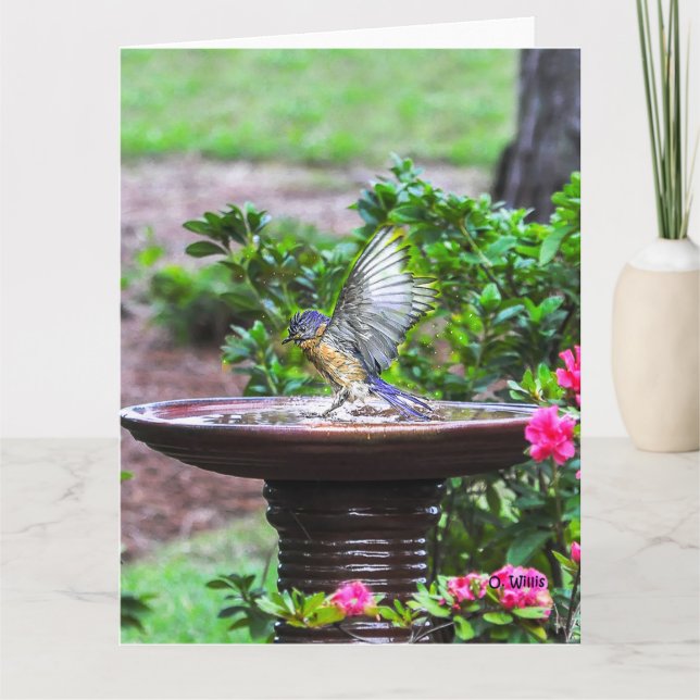 030 mate grande de la tarjeta 8.5x11 del baño del (Anverso)